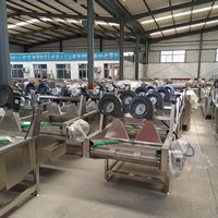 Beste Verkoop Industrieel Voedsel Plantaardig Fruit Dehydrator Bubbel Wassen En Lucht Drogen Droger Volledige Setup Machine