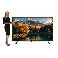 Precio de Fábrica, Televisor Inteligente 4K Ultra HD de 65 Pulgadas sin Marco, Sistema Operativo Android 11, Pantalla Digital para Proyectos Hoteleros