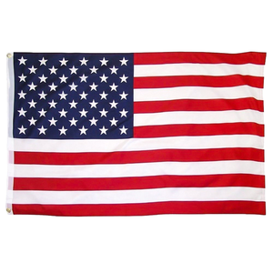 Bandera Americana Rosa para Colgar en la Pared, Poliéster, 3x5 Pies, Colores Vibrantes, Duradera, Ecológica, Antiarrugas, Impresión Digital, Portátil - Product Image 1