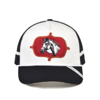 Casquette Trucker Bicolore Premium, Casquette Trucker Rayée, Casquette Trucker 5 Panneaux, Casquette Trucker en Maille, Casquette Trucker Personnalisée Brodée avec Logo