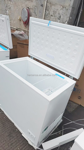 Congelador Horizontal BE251 de Gran Capacidad con Cesta Extraíble para Uso Doméstico, en Garajes y Comercial, Diseño de Tapa de Apertura Fácil - Product Image 6