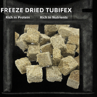 DAJIAWA 100% Vers de Tubifex Lyophilisés Riches en Protéines, Cubes d'Alimentation pour Poissons