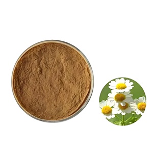 Koortsewek <span class=keywords><strong>Extract</strong></span> Poeder Tanacetum Parthenium <span class=keywords><strong>Extract</strong></span> Parthenolide Poeder Koortsachtige Bloem <span class=keywords><strong>Extract</strong></span> Premium - Product Image 3