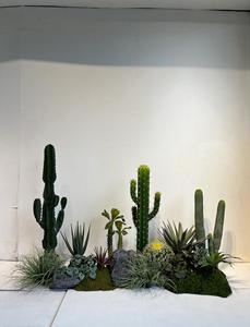 <span class=keywords><strong>Colonne</strong></span> de plantes artificielles de cactus sur mesure, grande taille, <span class=keywords><strong>pour</strong></span> la décoration de paysages tropicaux <span class=keywords><strong>en</strong></span> magasin, ou <span class=keywords><strong>en</strong></span> vitrine d'hôtel familial - Product Image 4
