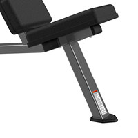Banc de musculation inclinable et déclinable en acier pour exercices de pectoraux, poids libres, inclinaison à 55 degrés