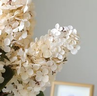 Bunga Hydrangea Buatan Eropa Tangkai Tunggal, Hydrangea Imitasi untuk Dekorasi Pernikahan, Dekorasi Rumah, dan Pengaturan Acara