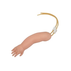 Medical Science Professional <strong>Pediatrics</strong> Infant Venipuncture Arm Training Simulator - Product Image 2