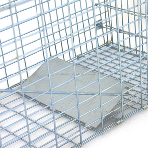 Petit piège à <span class=keywords><strong>cage</strong></span> pour animaux en métal pliable Humane <span class=keywords><strong>Live</strong></span> Rabbit Squirrel Opossum Squire Raccoon Catch Release Design pliable - Product Image 3