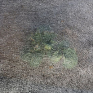 Tissu non tissé d'agriculture <span class=keywords><strong>de</strong></span> tapis <span class=keywords><strong>de</strong></span> haute qualité pour le tissu <span class=keywords><strong>de</strong></span> couverture <span class=keywords><strong>de</strong></span> <span class=keywords><strong>sol</strong></span> <span class=keywords><strong>de</strong></span> lutte contre les mauvaises herbes - Product Image 2