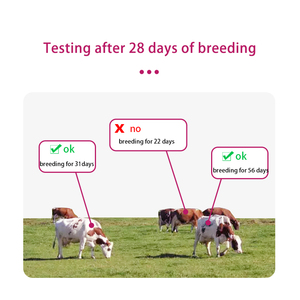Vache <span class=keywords><strong>test</strong></span> de grossesse précoce papier carte de détection ensemble de perfusion jetable <span class=keywords><strong>test</strong></span> rapide animal et vétérinaire - Product Image 2