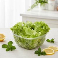 Barquette en plastique transparent pour fruits et légumes, boîte de présentation pour produits frais, contenants carrés transparents de 500 g
