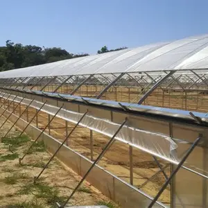 Sainpoly Hot Galvanized Frame Strong Structure Rain Shelter Greenhouse For Blueberry Raspberry Farm Poly Tunnel Greenhouse