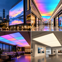 Feuille LED Flexible RGBW 800 LED/tile DC24V pour Panneau Publicitaire Commercial Extérieur et Intérieur, Boîte à Publicité, Plafond, Magasin, Centre Commercial