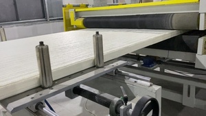 Bobine <span class=keywords><strong>de</strong></span> mousse pour animal domestique, noyau <span class=keywords><strong>de</strong></span> mousse <span class=keywords><strong>de</strong></span> haute qualité, modèle F500, <span class=keywords><strong>aide</strong></span> à la Production, 400 ~ 500 kg/h - Product Image 6