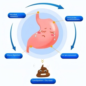 Poudre de probiotiques de qualité alimentaire OEM, <span class=keywords><strong>Lactobacillus</strong></span> <span class=keywords><strong>Gasseri</strong></span>, 1 kg/sac, produit pour la santé humaine à vendre - Product Image 5