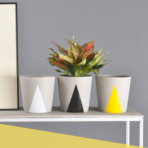 Macetas de cilindro geométricas rústicas de interior creativas maceta de cemento de interior colorida para plantas y flores - Product Image 6