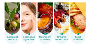 Poudre de rhizome de <span class=keywords><strong>Belamcanda</strong></span> Chinensis de qualité alimentaire, extraite par solvant, culture artificielle, approvisionnement direct en vrac d'usine, marque SWT - Product Image 4