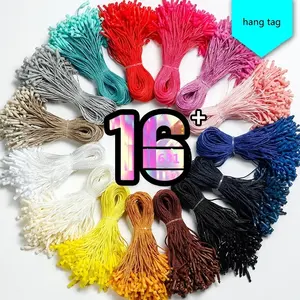Bag Garment Schoenen Hang Tag String Snap Lock Sluiting Haak Ties Voor Prijs Hang Tag