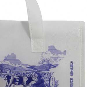 Custom Logo Promotional Reusable Thermal Insulation Bag Wholesale <b>Small</b> 6 Can Non Woven Insulated <b>Lunch</b> Cooler Bag for Food - Product Image 2