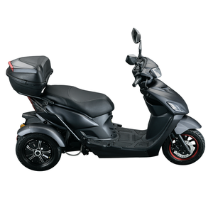 <span class=keywords><strong>Scooter</strong></span> Elettrico a Tre Ruote di Alta Qualità con Doppio Motore da 1000W, Batteria Rimovibile, Impermeabile, Certificato EEC COC - Product Image 6
