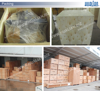FXJ-6050 Hualian Scelleuse de cartons électrique automatique à grande vitesse, réglable, pour scellage par le haut et par le bas, stable et performante