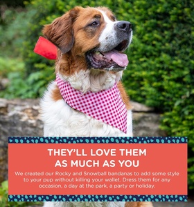 QQgift, pañuelos personalizados para mascotas para perros, bufanda Reversible, bufanda suave y transpirable para perros medianos y grandes, guinga roja y blanca - Product Image 2