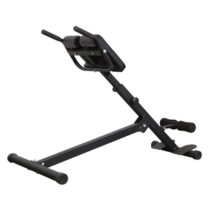 Nhà Máy Giá thấp cung cấp trực tiếp Roman ghế tập thể dục thiết bị tập thể dục hyperextension Roman ghế cho cơ thể xây dựng - Product Image 2
