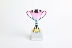 ของขวัญวันแม่และวันพ่อพลาสติก ABS ซูเปอร์วูแมนและผู้ชายมีการพิมพ์สกรีนด้วยรังสียูวีและผ้าไหมมินิถ้วยรางวัล - Product Image 4