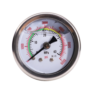 M10 * 1 PCP Cao Đo Áp Suất Áp Kế 40Mpa 6000psi - Product Image 1