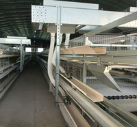 Nouveau système de cages à poules pondeuses entièrement automatique de type H pour 10 000 à 50 000 oiseaux, avec alimentation, élimination du fumier et collecte des œufs, haute performance
