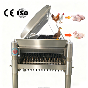 Machine à plumer les <span class=keywords><strong>oiseaux</strong></span> automatique en acier inoxydable 304 avec moteur |   Épluchage des <span class=keywords><strong>plumes</strong></span> de volaille à haute efficacité pour les abattoirs - Product Image 5