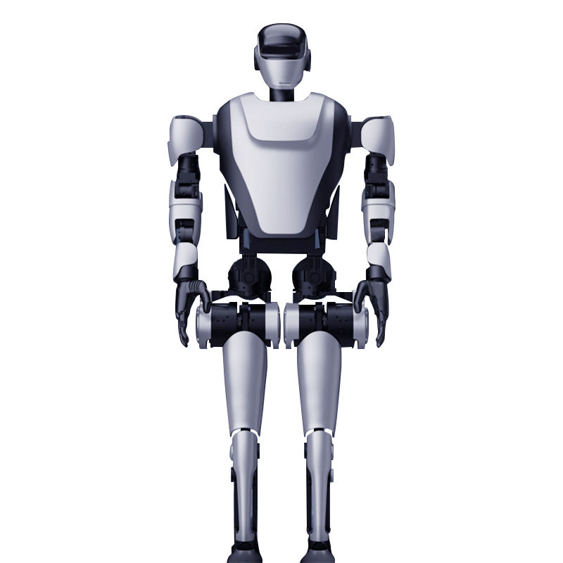 Humanoid Robot Companion Robots For The Elderly Social Companion