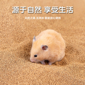 Crown Asia - Alfombra de arena de nogal natural para hámster, rectangular, ecológica, suministros para animales pequeños - Product Image 3