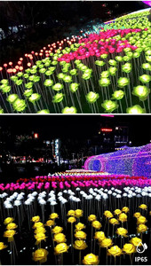 Vendita calda rosa artificiale mare difesa esterno aiuola decorativa luce led <span class=keywords><strong>fiori</strong></span> <span class=keywords><strong>di</strong></span> seta - Product Image 5
