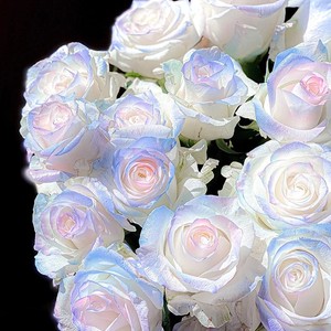 Suministro de fábrica, 450mL de flores de pintura en aerosol, colorante de estilo occidental de seda de diferentes colores para el Día de San Valentín, Año Nuevo, OEM Bienvenido - Product Image 5