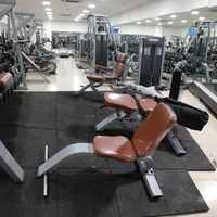 Banc multifonctionnel, équipement d'entraînement gratuit à domicile, équipement de gym, chaise d'entraînement des épaules en acier