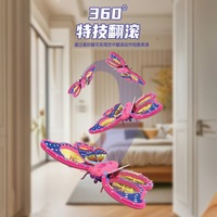 Aereo Telecomandato per Bambini Butterfly HG-9, Modello di Aereo da Caccia in Schiuma Senza Spazzole, 4 Canali Controllati da App