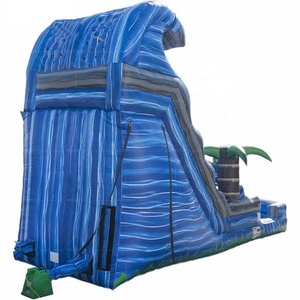 Ngoài trời thiết kế mới đôi Lane Inflatable screamer nước Roaring trượt và trượt với hồ bơi - Product Image 4