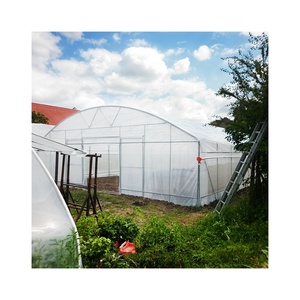 <span class=keywords><strong>Tunnel</strong></span> élevé agricole économique et durable pour une culture efficace - Product Image 5