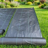 Membrane tissée en PP, couverture de sol en PE, filet anti-herbe, tissu anti-mauvaises herbes, film de paillage, plastique UV, plastique agricole
