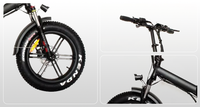 Vélo électrique pliable portable 750W 48V Vélo électrique haute puissance Vélo électrique pliable pour la ville