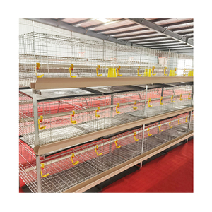 Cage à poules automatique <span class=keywords><strong>de</strong></span> type H, cage à volailles, cage à poules pondeuses, 3 niveaux, 2 portes, cage à poulets <span class=keywords><strong>de</strong></span> <span class=keywords><strong>chair</strong></span> pour 72 poulets - Product Image 1