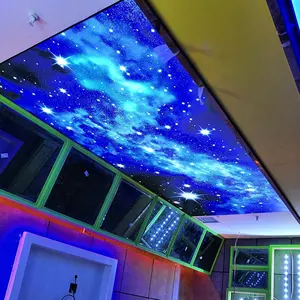 ZHIHAI government unit building metro platform interior ceiling wall decoration modern advertising star led lights ceiling