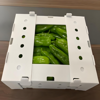 Meilleur prix pour boîte de transport en polypropylène ondulé pour légumes, chili, fruits, stockage en plastique, boîte de transport circulante