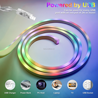 Bande LED néon intelligente flexible en PVC souple RGBIC, étanche pour extérieur, avec télécommande USB APP BT, 1M 3M 5M
