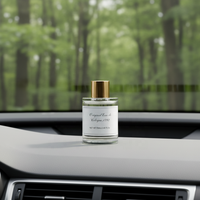 Diffuseur d'aromathérapie en métal, recharge d'huile par pulvérisation, parfum relaxant longue durée, alimentation USB, garantie 5 ans, utilisation en voiture, huile essentielle