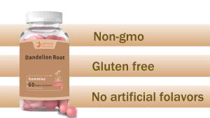 Diskon besar-besaran JAYHOO suplemen sistem pernapasan pembersih paru-paru pendukung tergerai <span class=keywords><strong>Bromelain</strong></span> Vegan akar Dandelion Gummies - Product Image 2