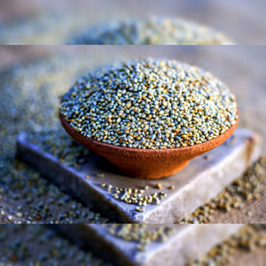 grano de bajra de primera calidad para comercio - Product Image 1