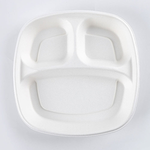 <strong>Biodegradable</strong> <strong>Disposable</strong> Box Ecopack Bio Degradable Packaging Sugarcane Tableware <strong>Tray</strong> Bagasse Food Container - Product Image 3