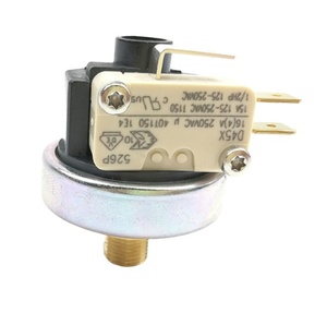 Bản gốc lf25 d45x 16a250v dpdt đôi micro chuyển hơi nước nồi hơi hàn sắt máy nước nóng công tắc áp suất - Product Image 1